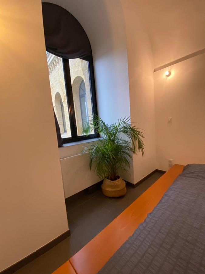 Luxury Loft Metz Appartement Buitenkant foto